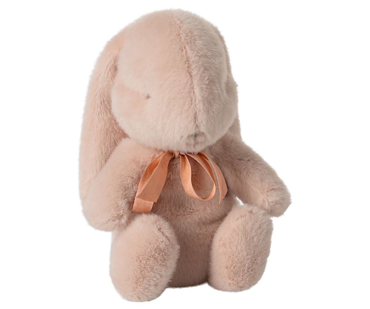 Small Plush Bunny