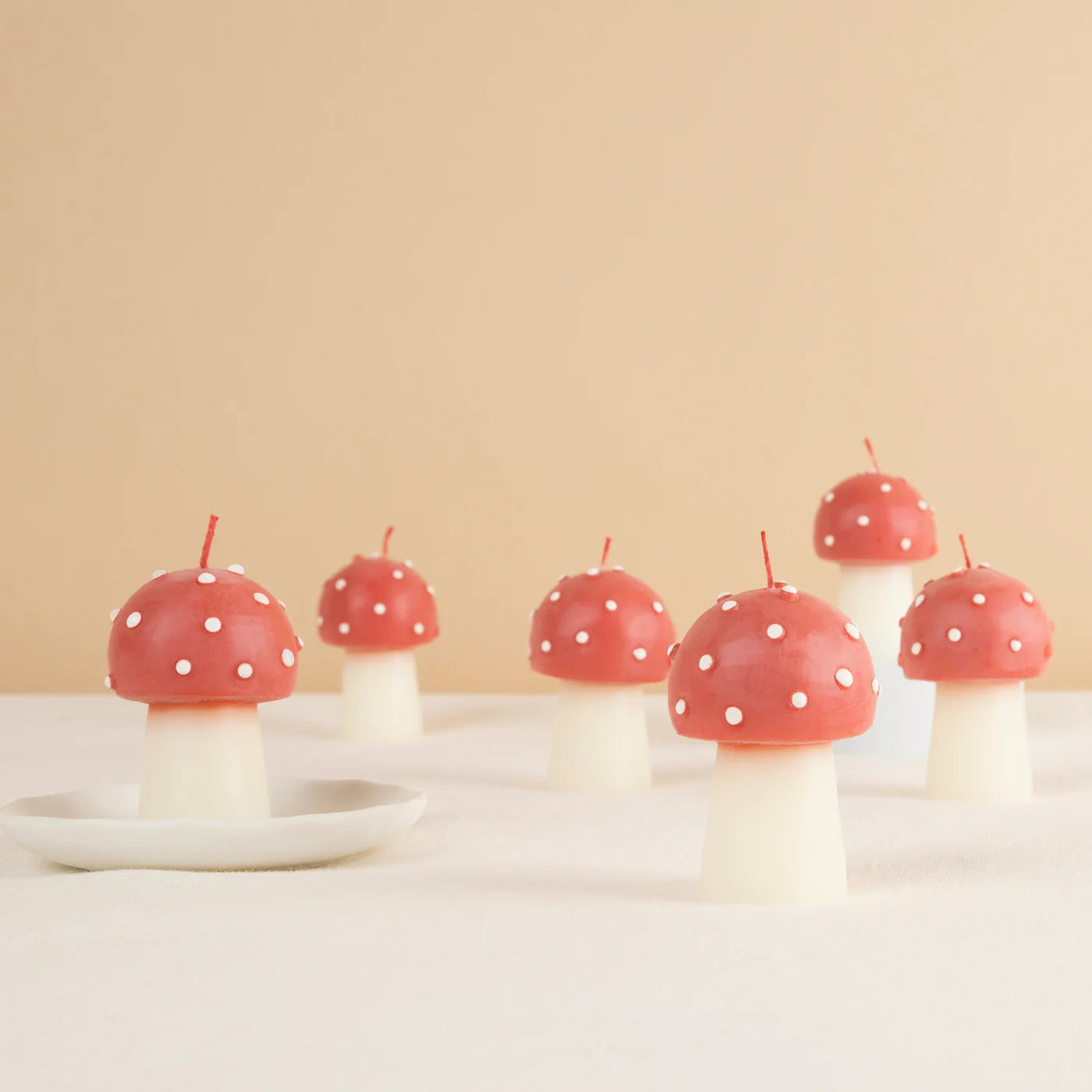 Mini Mushroom Set